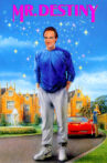 Mr. Destiny Movie Streaming Online