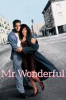 Mr. Wonderful Movie Streaming Online