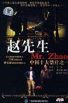 Mr. Zhao Movie Streaming Online