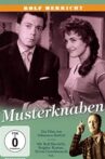 Musterknaben Movie Streaming Online