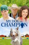 My Dog the Champion Movie Streaming Online