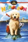 Napoleon Movie Streaming Online