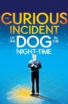 National Theatre Live: The Curious Incident of the Dog in the Night-Time Movie Streaming Online
