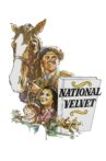 National Velvet Movie Streaming Online