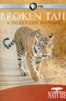 Nature: Broken Tail A Tiger's Last Journey Movie Streaming Online
