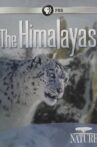Nature: The Himalayas Movie Streaming Online