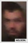 Nelson Movie Streaming Online