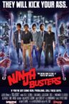 Ninja Busters Movie Streaming Online