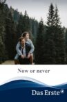 Now or Never Movie Streaming Online