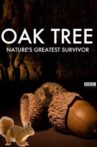 Oak Tree: Nature's Greatest Survivor Movie Streaming Online