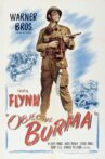 Objective, Burma! Movie Streaming Online