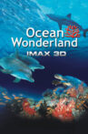 Ocean Wonderland Movie Streaming Online