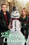 On the Twelfth Day of Christmas Movie Streaming Online