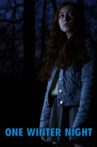 One Winter Night Movie Streaming Online