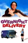 Overnight Delivery Movie Streaming Online