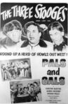 Pals and Gals Movie Streaming Online