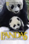 Pandas: The Journey Home Movie Streaming Online