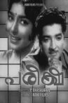 Pareeksha Movie Streaming Online