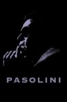 Pasolini Movie Streaming Online