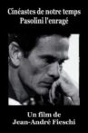 Pasolini l'enrage Movie Streaming Online