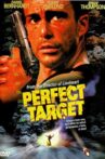 Perfect Target Movie Streaming Online