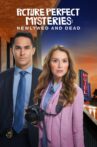 Picture Perfect Mysteries: Newlywed and Dead Movie Streaming Online