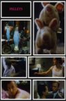 Piglets Movie Streaming Online