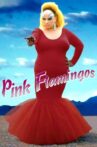 Pink Flamingos Movie Streaming Online