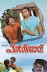 Pinnilavu Movie Streaming Online
