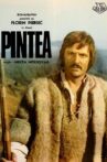 Pintea Movie Streaming Online