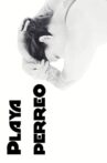 Playa Perreo Movie Streaming Online