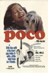Poco… Little Dog Lost Movie Streaming Online