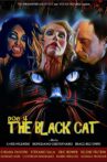 POE 4: The Black Cat Movie Streaming Online