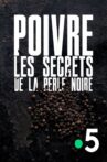 Poivre, les secrets de la perle noire Movie Streaming Online