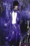 Prince: 1999 Live In Houston 12/29/82 Movie Streaming Online
