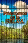 Prisioneros de la selva Movie Streaming Online