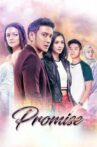 Promise Movie Streaming Online