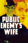 Public Enemy's Wife Movie Streaming Online