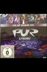 Pur & Friends: Live auf Schalke 2010 Movie Streaming Online
