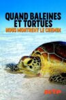 Quand baleines et tortues nous montrent le chemin Movie Streaming Online