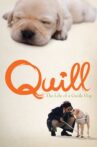 Quill:  The Life of a Guide Dog Movie Streaming Online