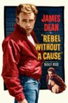 Rebel Without a Cause Movie Streaming Online