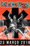 Red Hot Chili Peppers: Lollapalooza Brasil Movie Streaming Online