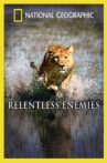 Relentless Enemies Movie Streaming Online