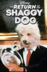 Return of the Shaggy Dog Movie Streaming Online