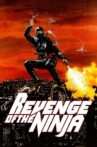 Revenge of the Ninja Movie Streaming Online