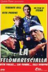 Rita the Field Marshal Movie Streaming Online
