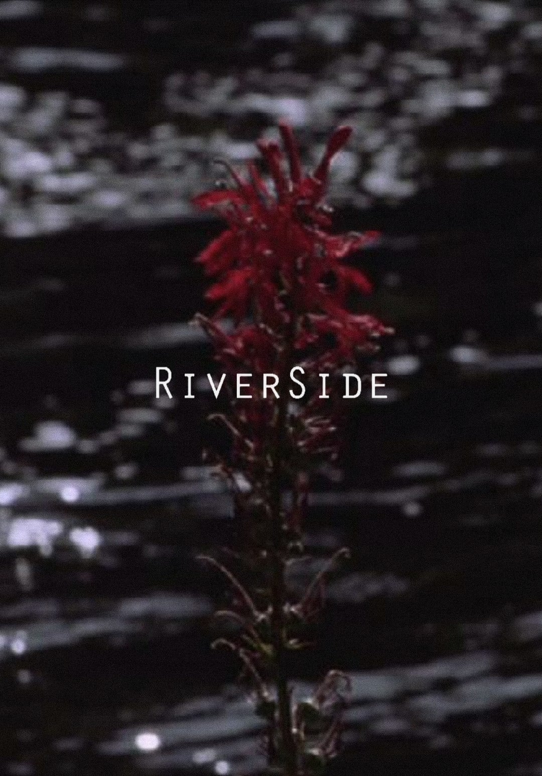 Riverside Movie Streaming Online Watch