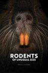 Rodents of Unusual Size Movie Streaming Online
