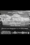 Roping Wild Bears Movie Streaming Online